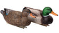 Mallard Duck Decoy