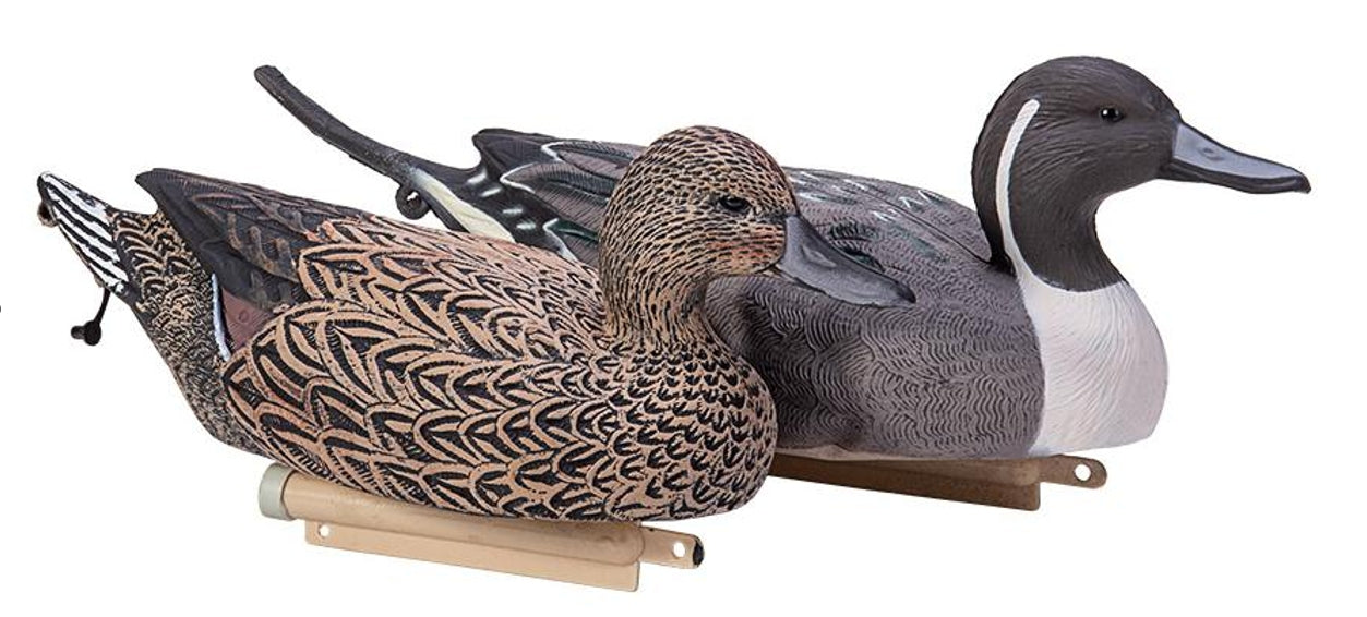 PINTAIL Duck Decoy