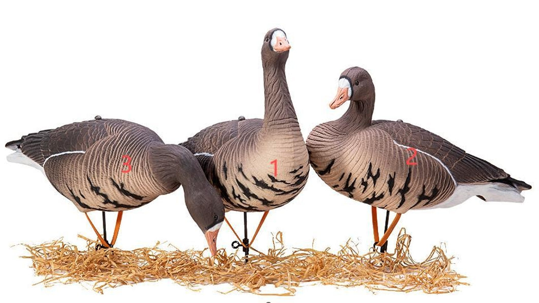 SPECKL EBELLY GOOSE