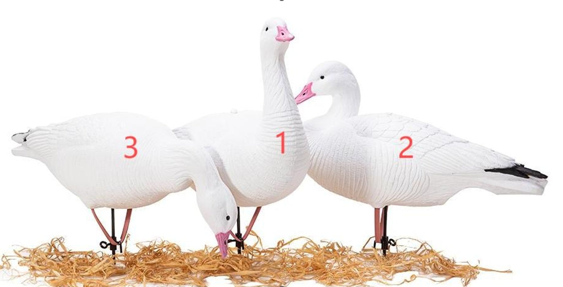 SNOW GOOSE